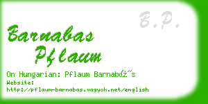 barnabas pflaum business card